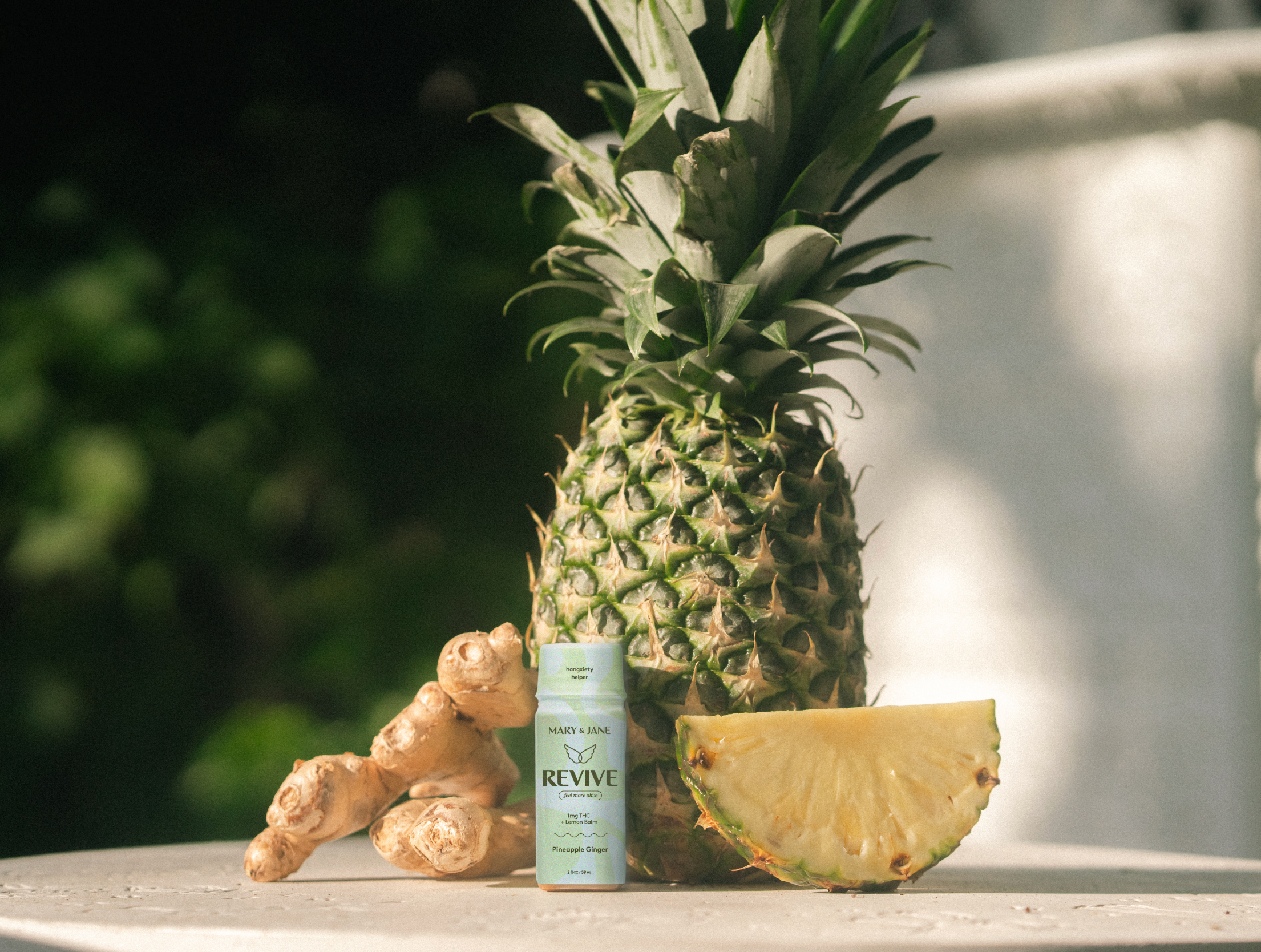 revive pineapple plant Revive